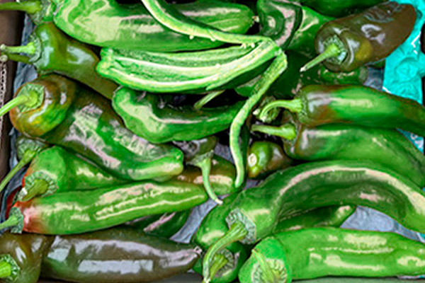 Comprar Pimiento Italiano Rojo