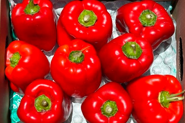 Comprar Pimientos Rojos