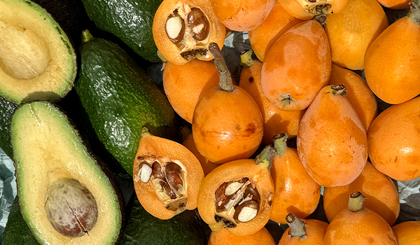 Origem de nêsperas e abacates