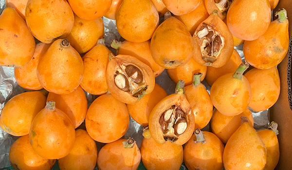 Caja de nísperos frescos