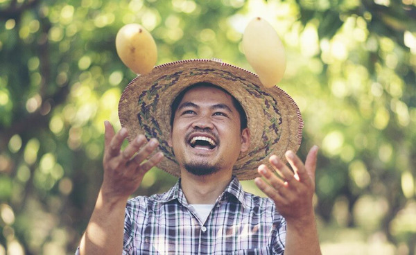 Cómo elegir un Mango